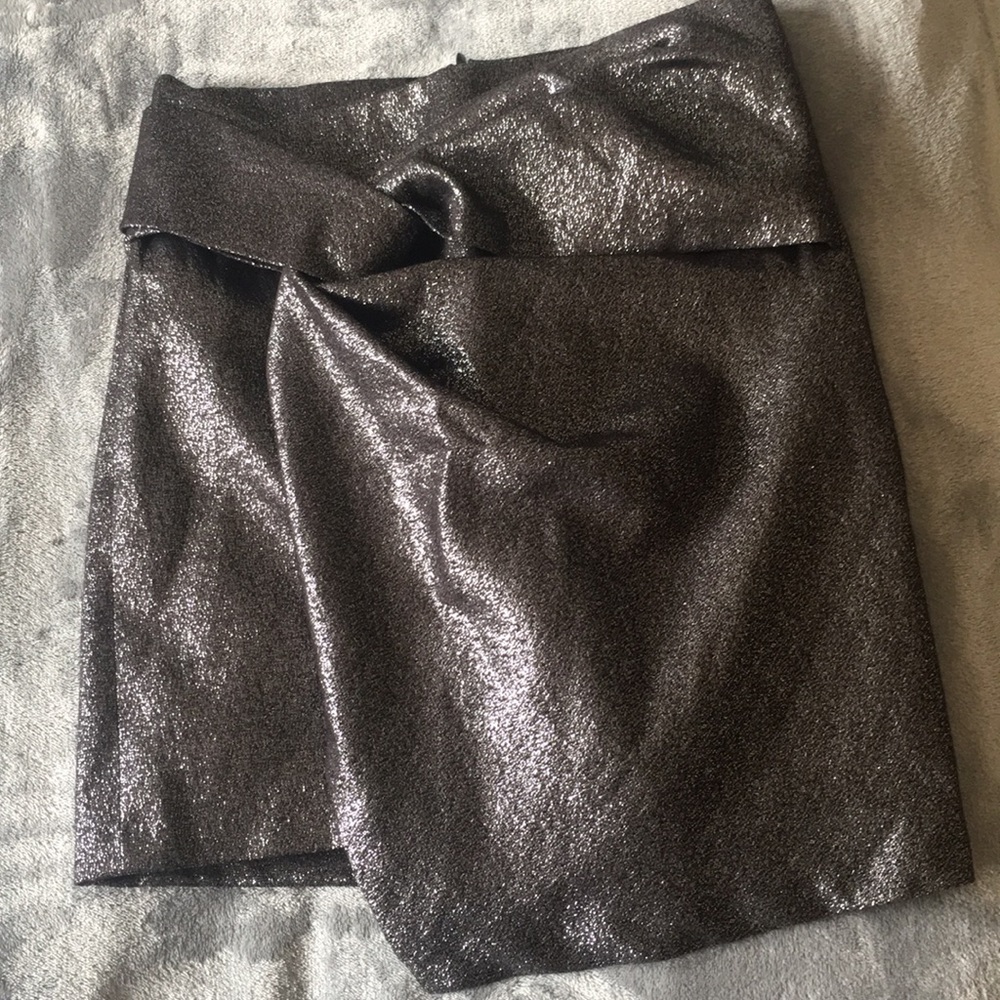 Zara Sparkle/Glitter Skirt